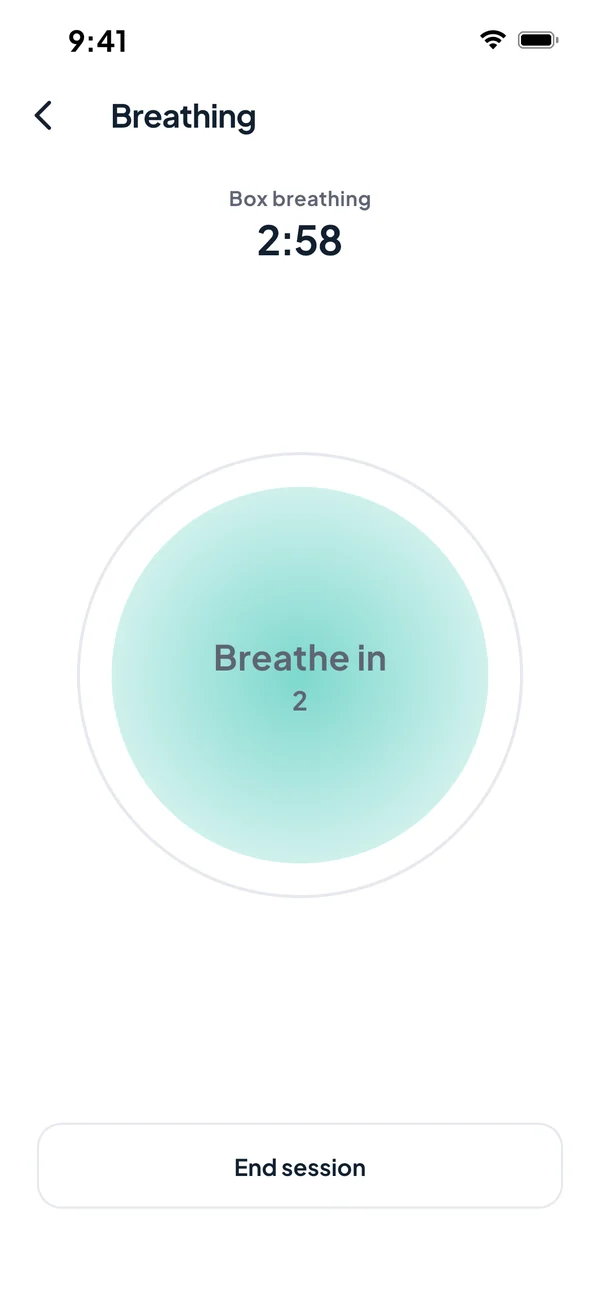 Guided box breathing exercise